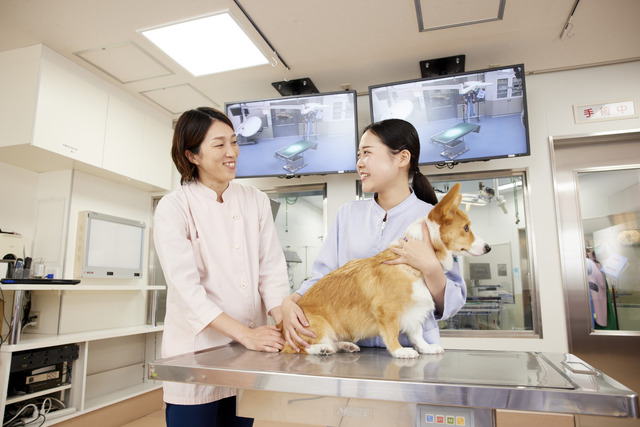 大阪ぺピイ動物看護専門学校
