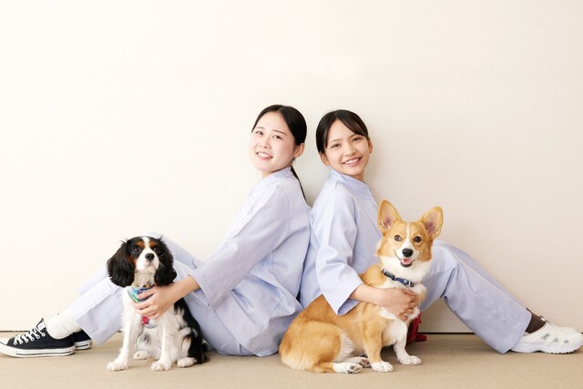 大阪ぺピイ動物看護専門学校